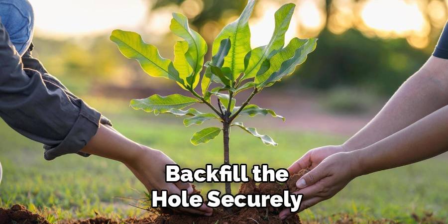 Backfill the Hole Securely