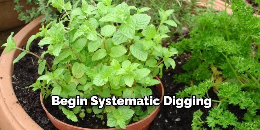 Begin Systematic Digging