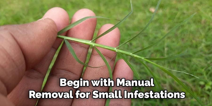 Begin with Manual Removal for Small Infestations