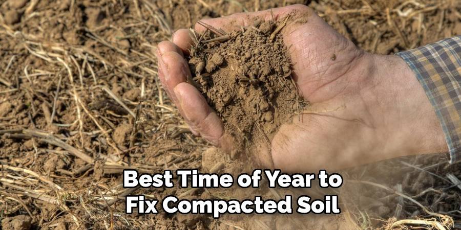 Best Time of Year to Fix Compacted Soil