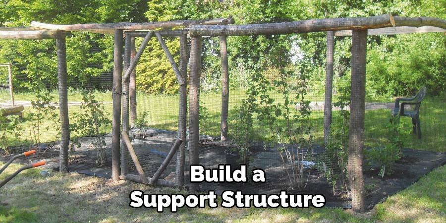 Build a Support Structure