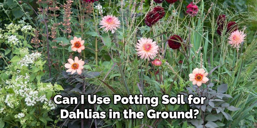 Can I Use Potting Soil for Dahlias in the Ground?