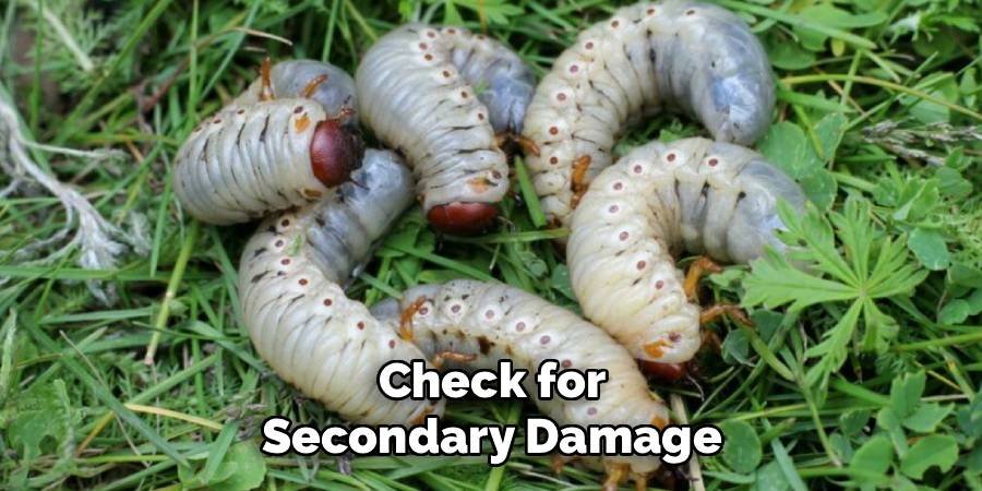 Check for Secondary Damage