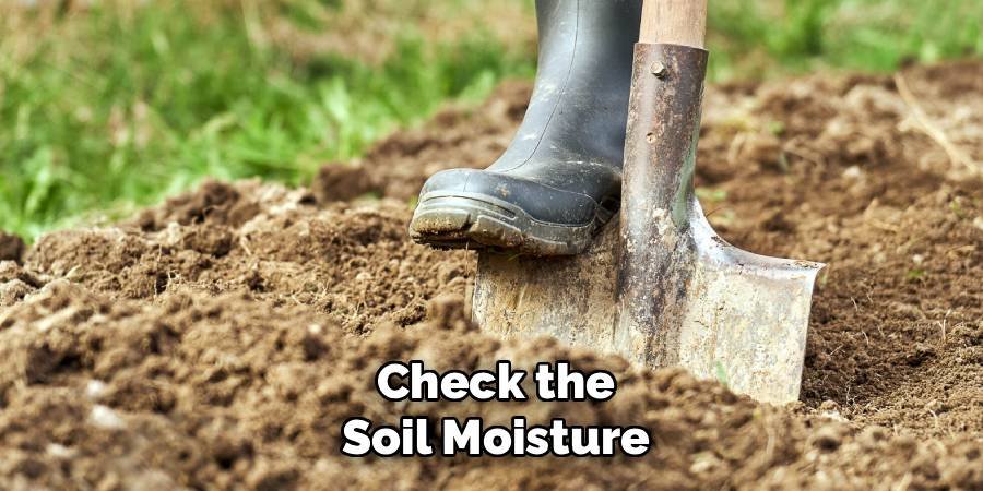Check the Soil Moisture