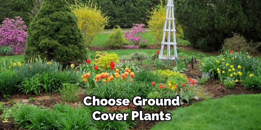 Choose Ground Cover Plants