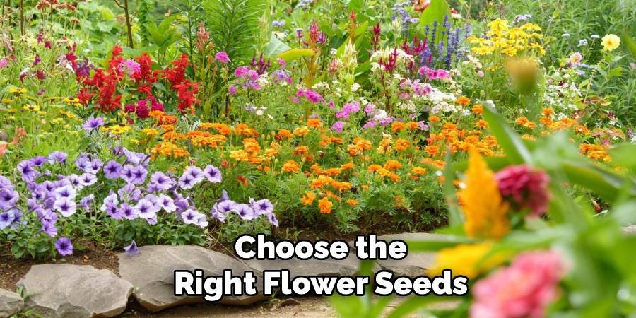 Choose the Right Flower Seeds