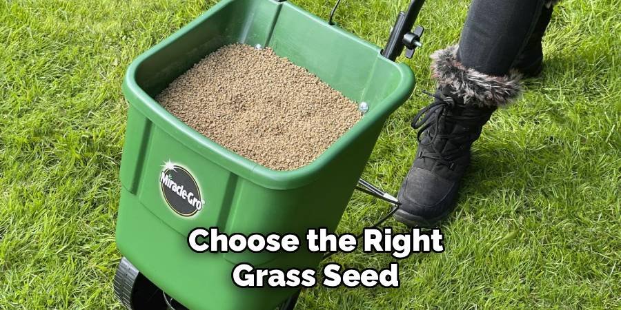 Choose the Right Grass Seed