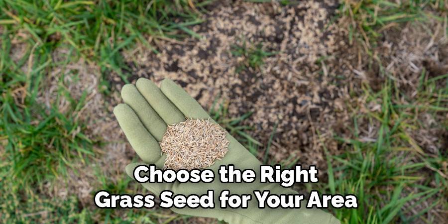 Choose the Right Grass Seed for Your Area