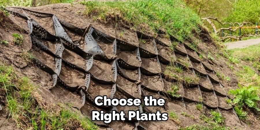 Choose the Right Plants
