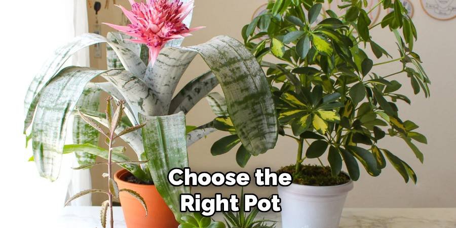 Choose the Right Pot