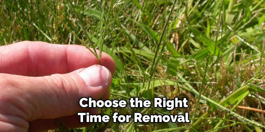 Choose the Right Time for Removal