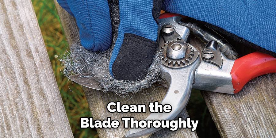 Clean the Blade Thoroughly