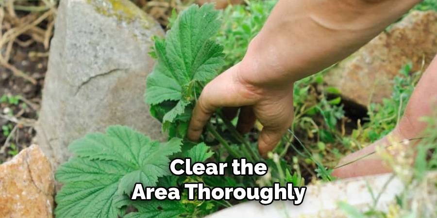 Clear the Area Thoroughly