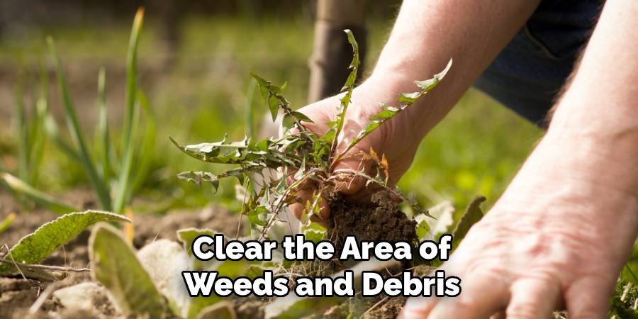 Clear the Area of Weeds and Debris