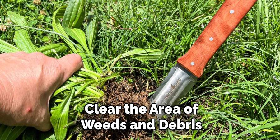 Clear the Area of Weeds and Debris