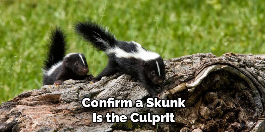 Confirm a Skunk Is the Culprit