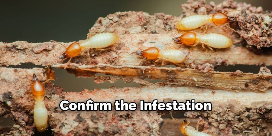 Confirm the Infestation