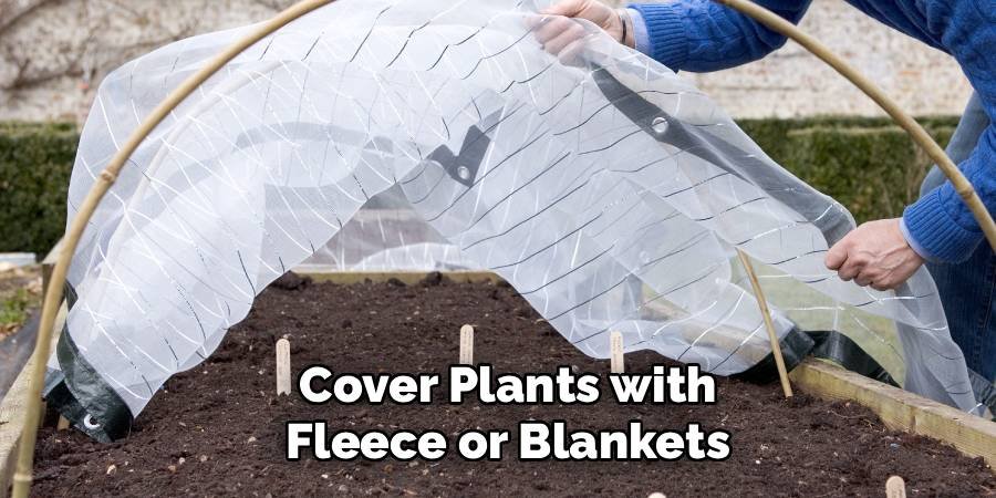Cover Plants with Fleece or Blankets