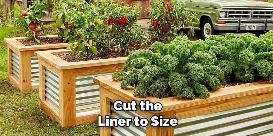 Cut the Liner to Size