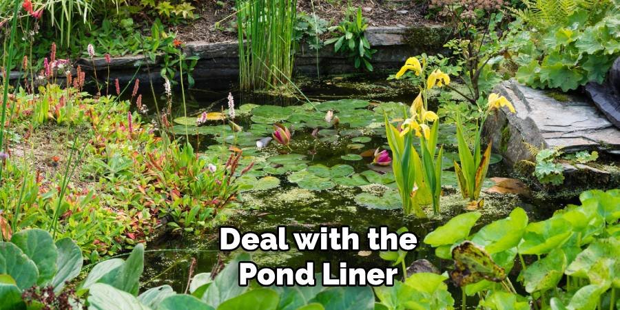 Deal with the Pond Liner