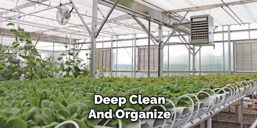 Deep Clean and Organize