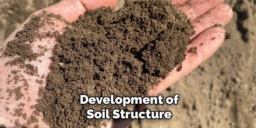 Development of Soil Structure