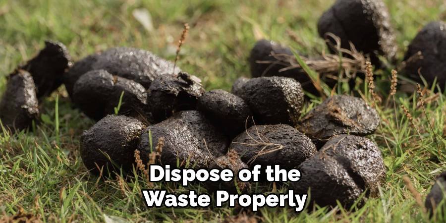 Dispose of the Waste Properly
