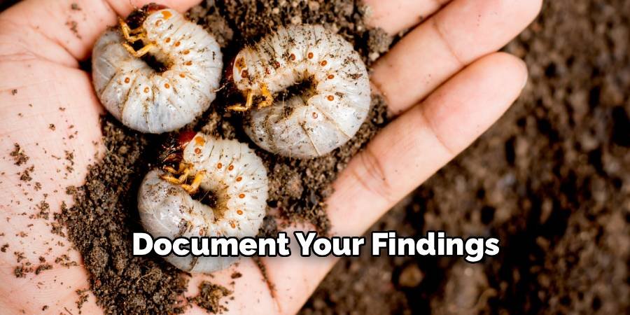 Document Your Findings