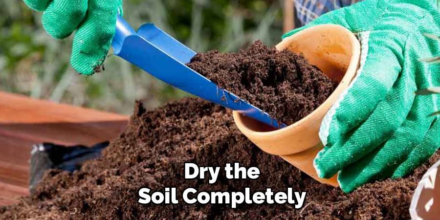 Dry the Soil Completely