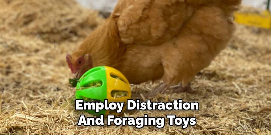 Employ Distraction and Foraging Toys