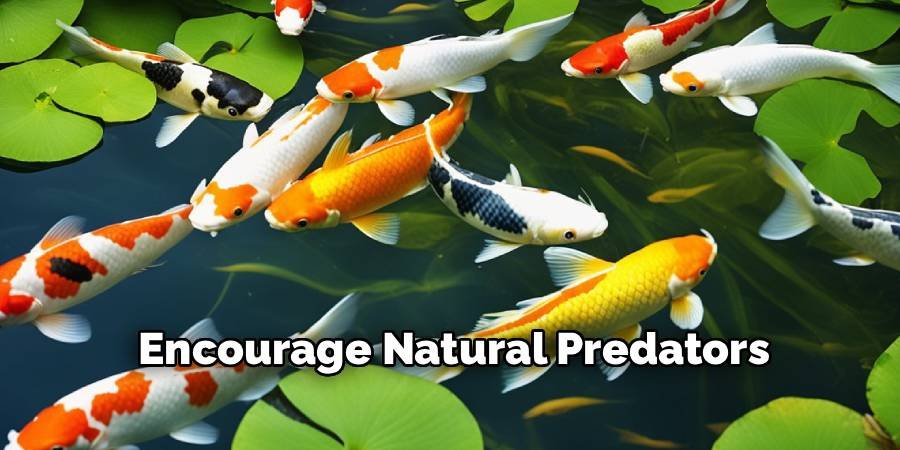 Encourage Natural Predators