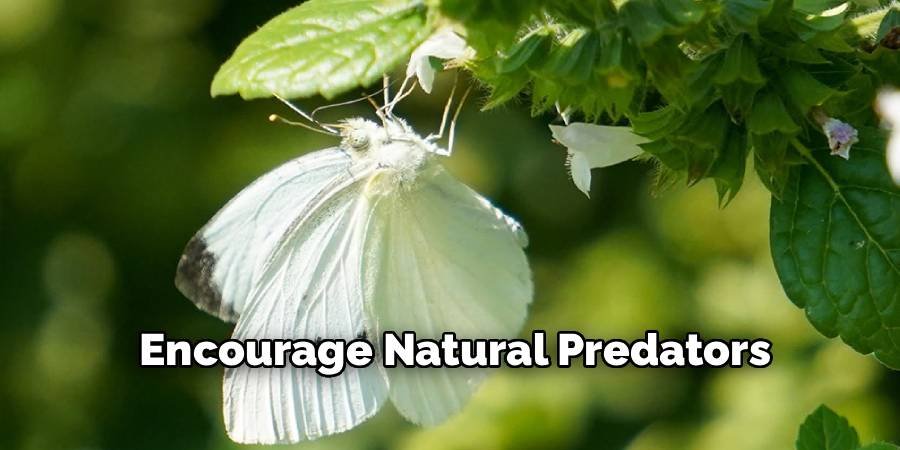 Encourage Natural Predators