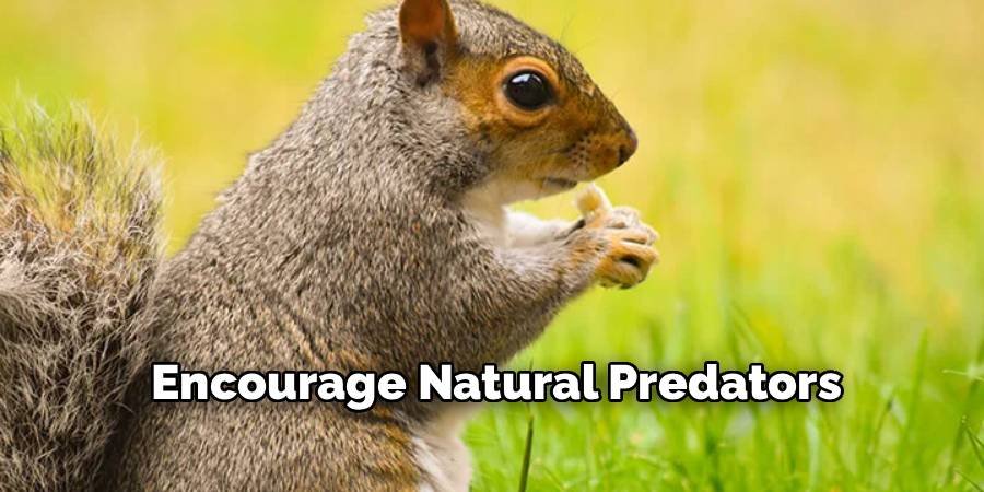 Encourage Natural Predators