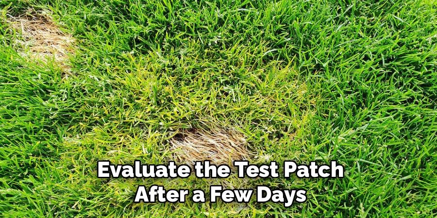 Evaluate the Test Patch After a Few Days