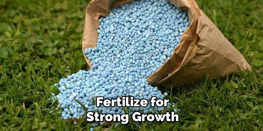 Fertilize for Strong Growth