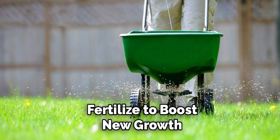 Fertilize to Boost New Growth