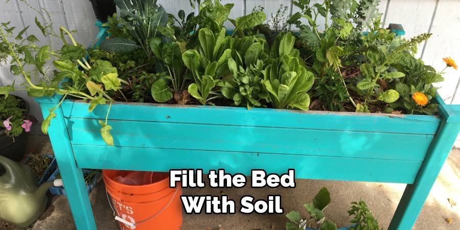Fill the Bed with Soil