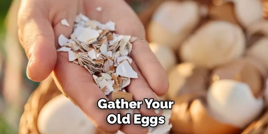 Gather Your Old Eggs