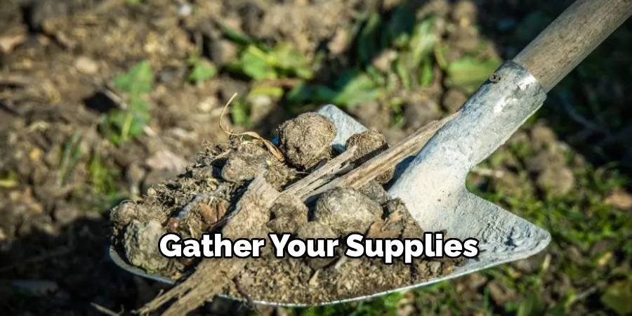 Gather Your Supplies
