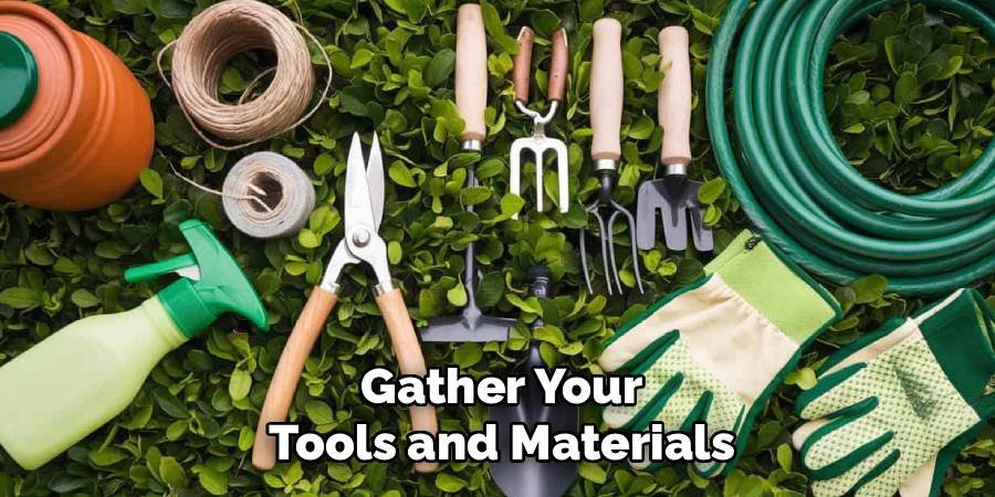 Gather Your Tools and Materials