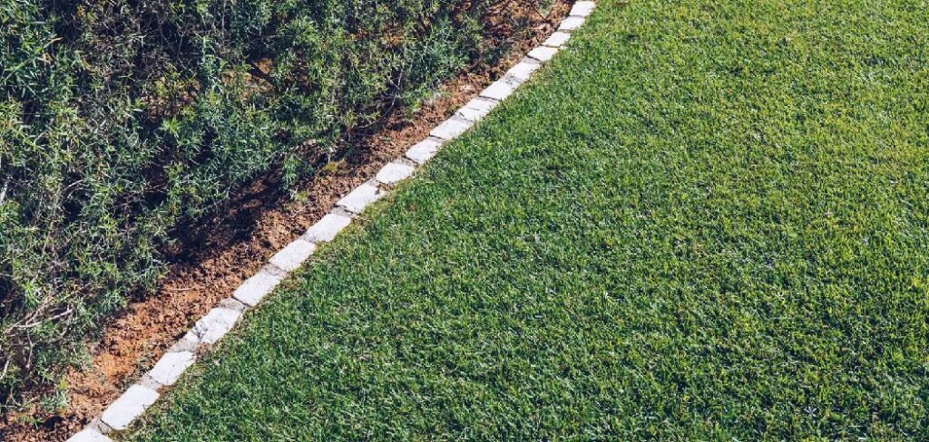 How Do You Know if Your Lawn Needs Iron