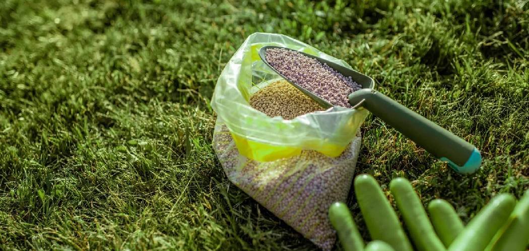 How Does Lawn Fertilizer Work