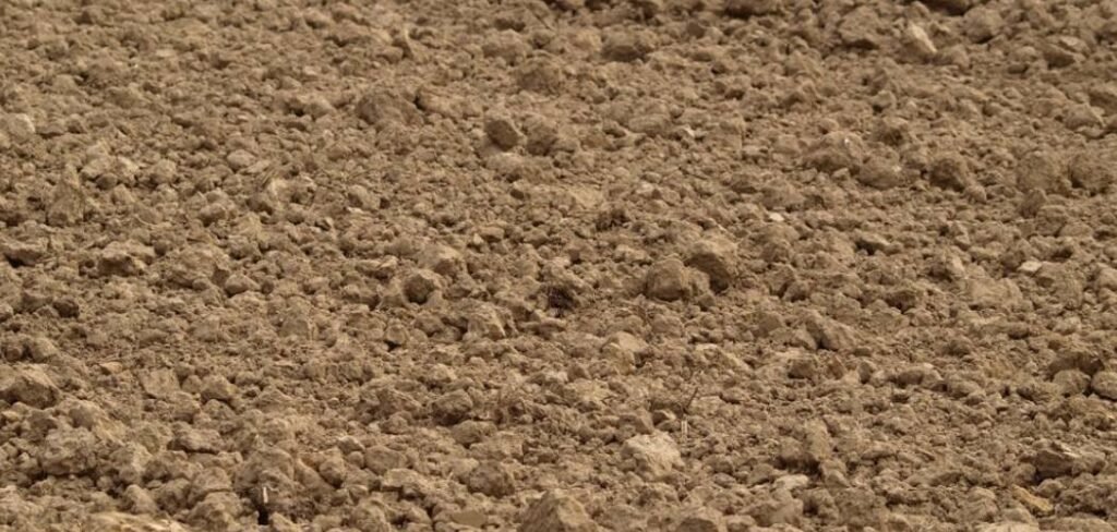 How Is Topsoil Made