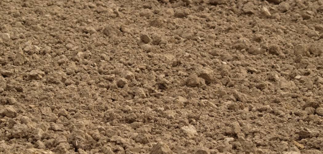 How Is Topsoil Made
