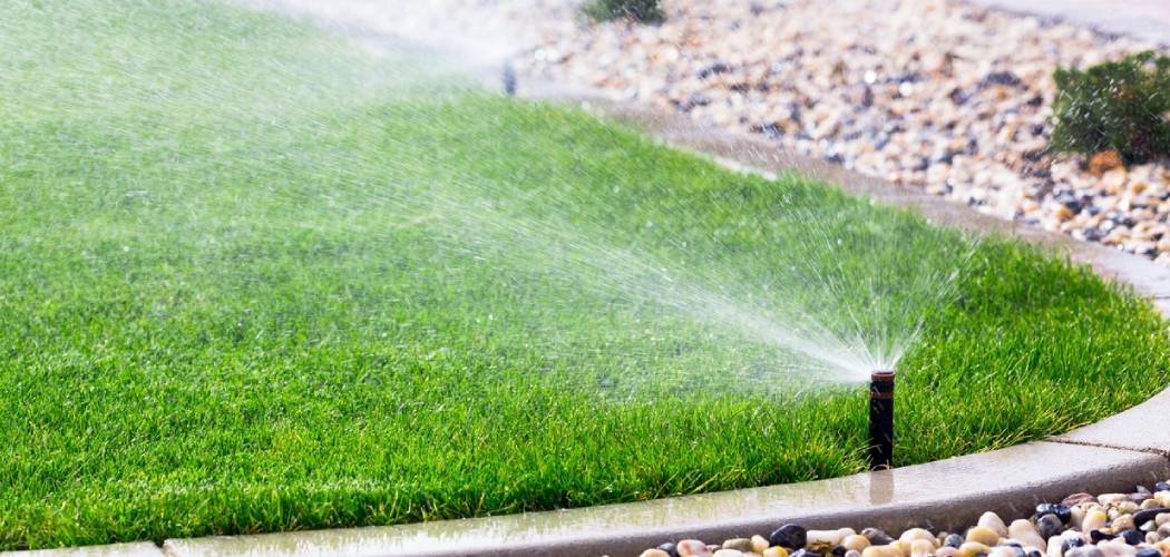 How To Care for Hydroseeded Lawn