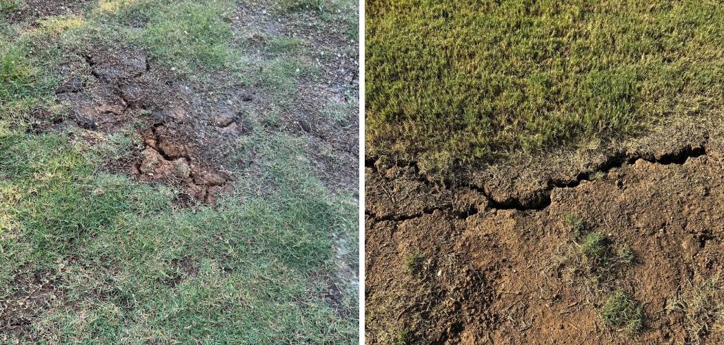 How To Get Rid of Cracks in Lawn