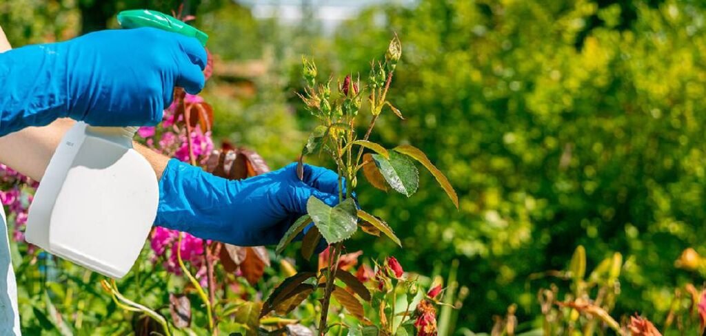 How To Get Rid of Termites in the Garden