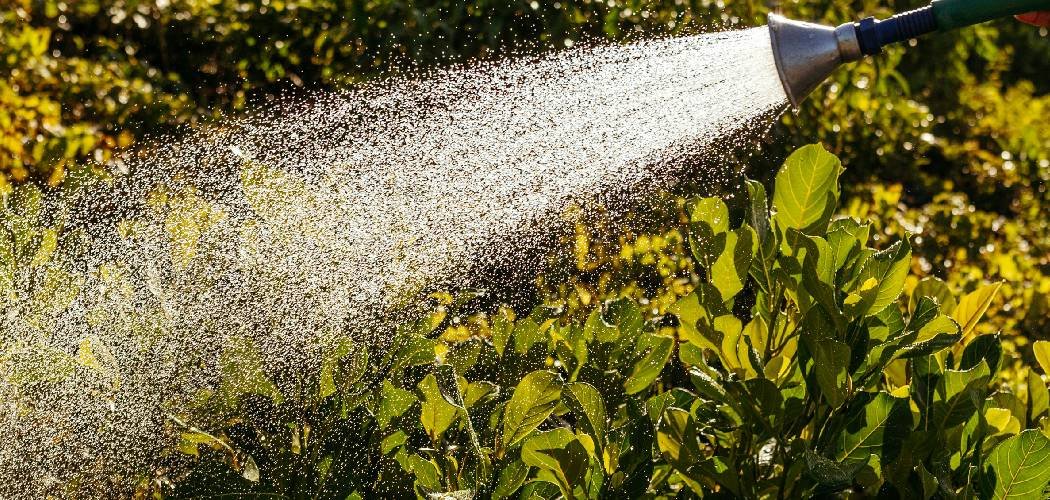 How To Use Soaker Hose in Vegetable Garden