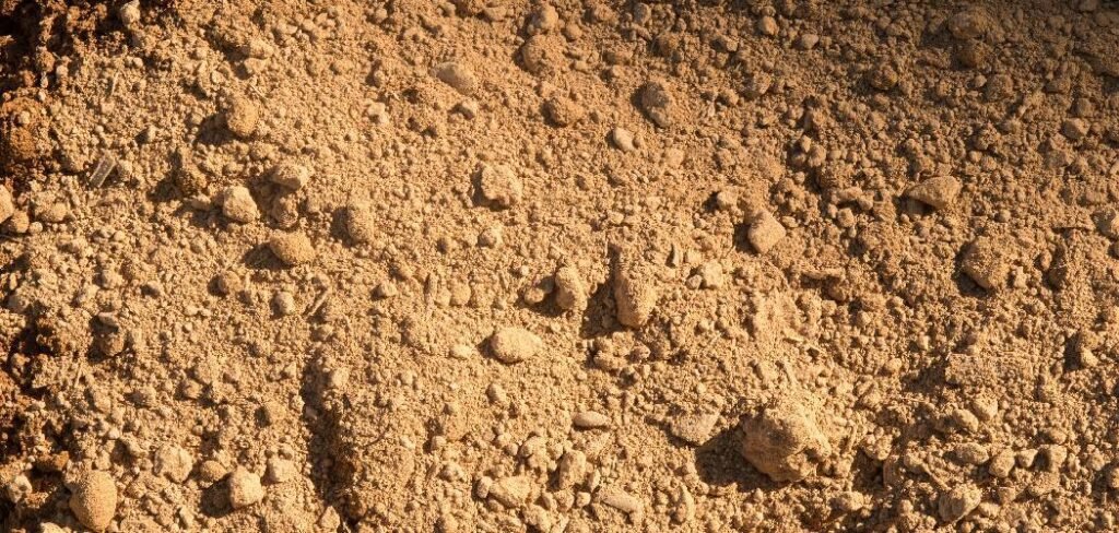 How to Break Up Clay Soil Without Tilling
