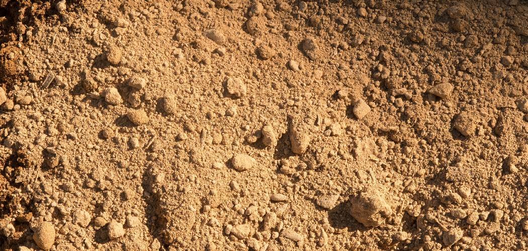 How to Break Up Clay Soil Without Tilling